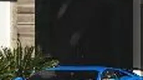 AI绘秦岭生态画卷 ｜ 鹭鸟翩翩舞动时