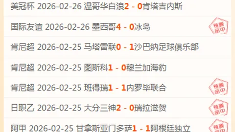 周六013国际赛：美国VS比利时专家质合分析推荐