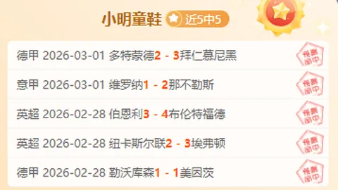 篮球赛事重点分析，专家专注推荐